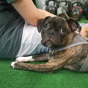 Meet your Posher, Heather